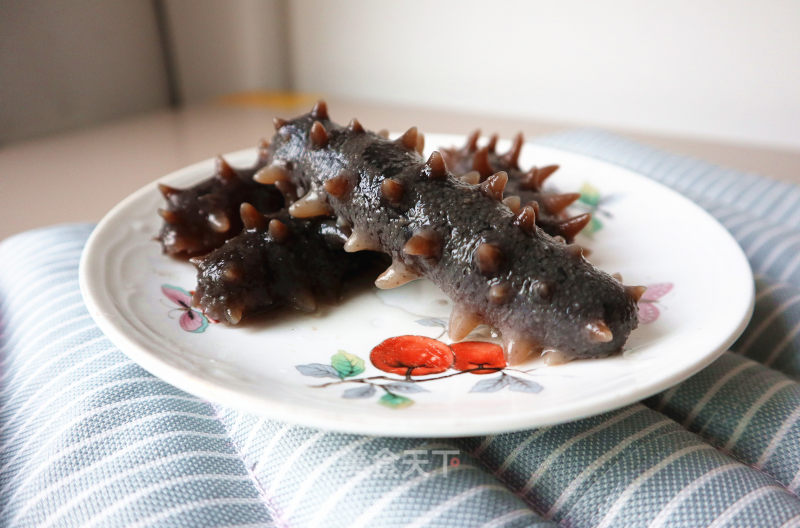 Sea Cucumber