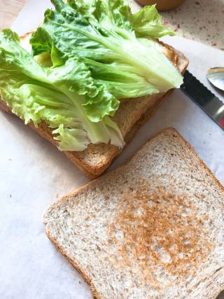 Whole Wheat Sandwich recipe