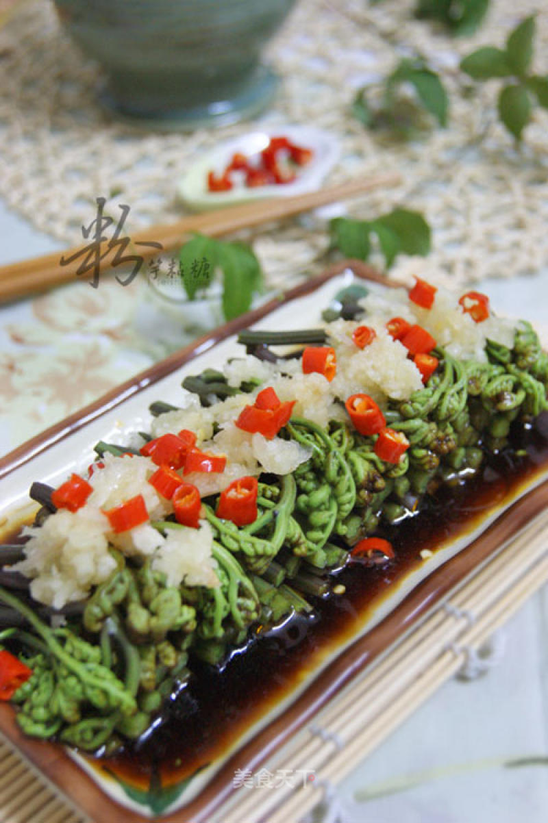 Bracken Fiddlehead