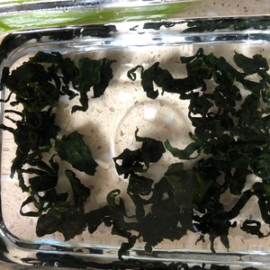 Wakame Egg Drop Soup recipe