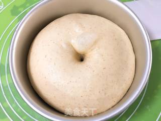 Whole Wheat Meal Buns recipe