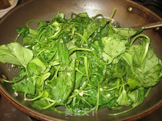 Stir-fried Sweet Potato Leaves with Fermented Bean Curd recipe