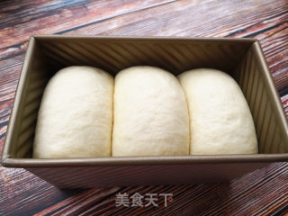 100% Medium Type Hokkaido Toast recipe
