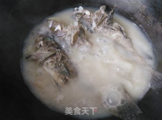 #trust之美#milk White Black Fish Soup recipe