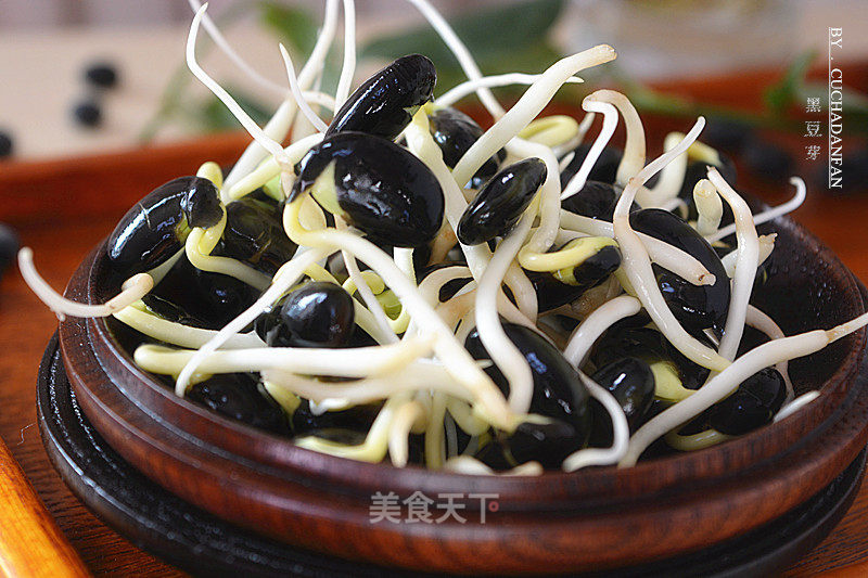 Homemade Black Bean Sprouts recipe