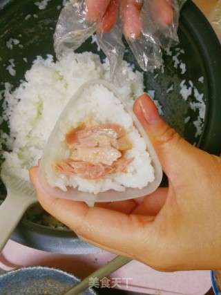 Japanese Rice Ball ~ Bento Box Rice Ball recipe