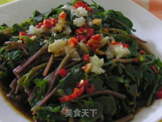 【summer Cold Dishes】cold Portulaca recipe