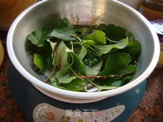 Treating Wind-heat and Cold-houttuynia Cordata Tea recipe