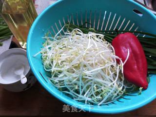 Vegetarian Fried Mung Bean Sprouts recipe