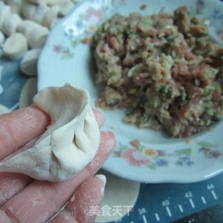 Scallion Dumplings recipe