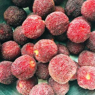 Canned Bayberry recipe