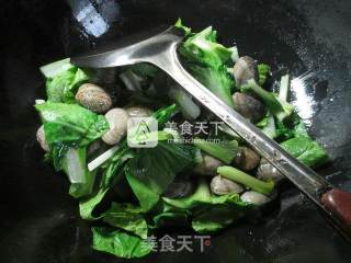 Cabbage Clam Soup recipe