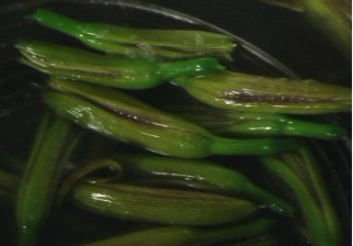 Fungus Mixed with Yellow Flowers recipe