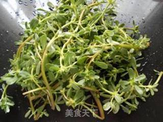 Portulaca Oleracea recipe