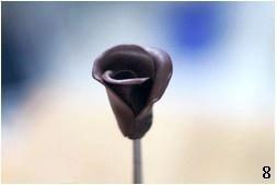 Handmade Chocolate Flower recipe