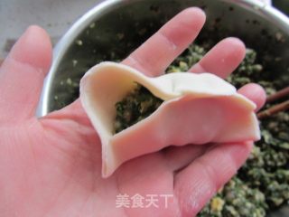 Shepherd's Purse, Bamboo Shoot Tip Pork Dumplings recipe