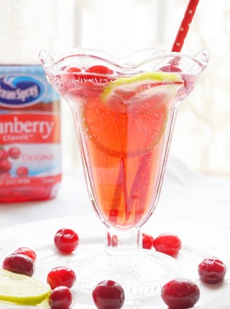 Cranberry Sparkling Fruit Wine recipe