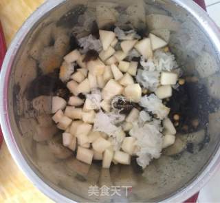 Pitaya, Tremella, Sydney recipe