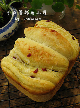 Melaleuca Cranberry Toast