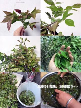 Shooting 🎬 Tidbits from Our Recent Home #乌米粽# recipe