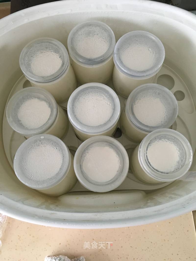 Electric Cooker Version of Yogurt recipe