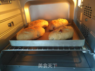 Cranberry Whole Wheat Golden Germ Bread recipe