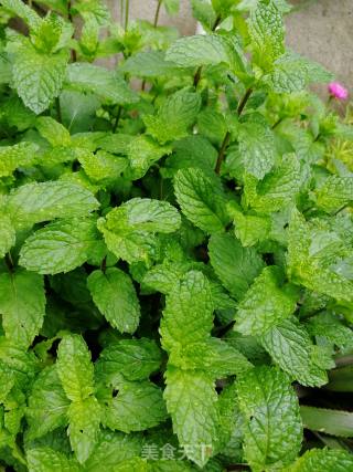 Mint Chrysanthemum Tea recipe