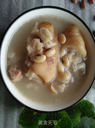 Stewed Trotters Soup recipe