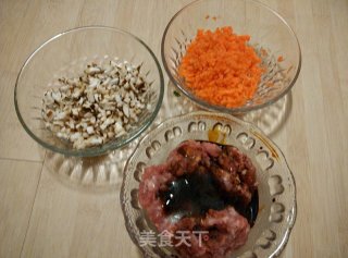 Vegetable Rolls with Tomato Sauce recipe