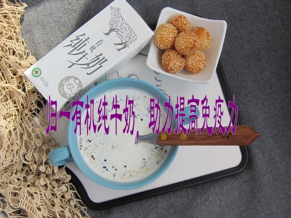 Quinoa Milk Porridge recipe