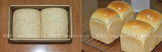 Whole Wheat Toast recipe