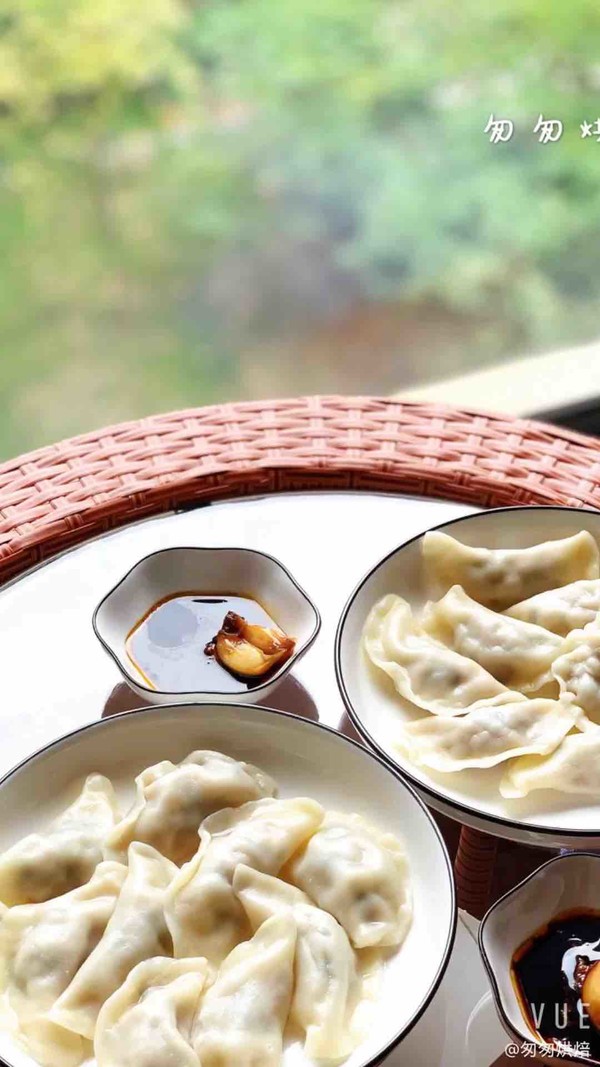 Delicious Dumplings recipe