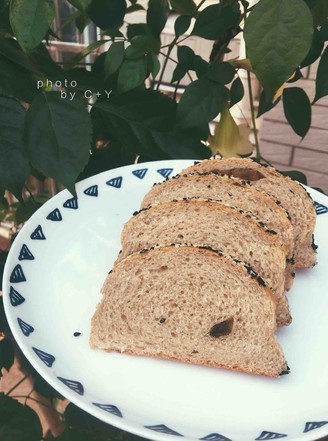 Multigrain Rye Soft European Bread recipe