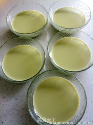 Green Tea Panna Cotta-green Tea Panna Cotta recipe