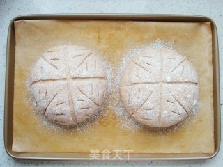 Farmer Slow Rye Soft European Buns recipe