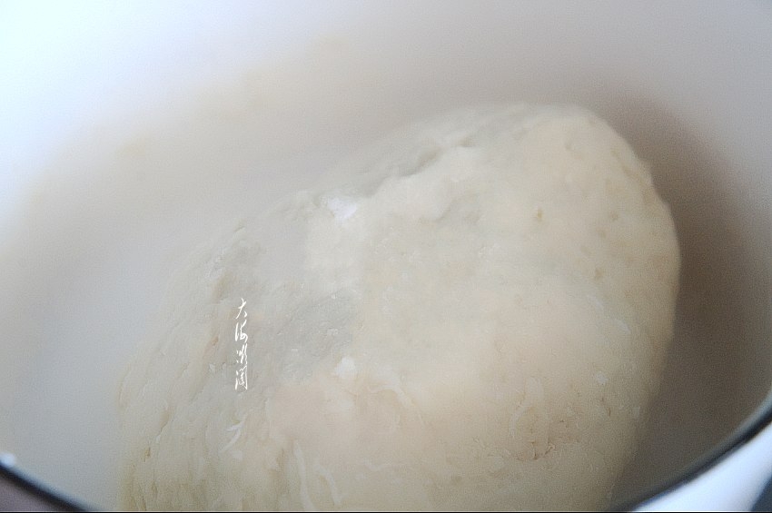 Pan-fried Sixi Dumplings recipe