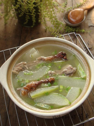 Duck Frame Winter Melon Soup