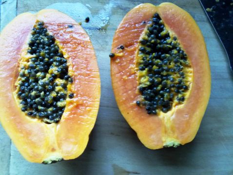 Papaya, Lotus Seed and White Fungus in Clay Pot recipe