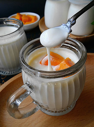 Homemade Mellow Yogurt (light Cream Version)