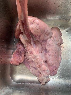 Clean Pig Lungs recipe