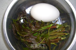 Fried Goose Eggs with Spring Buds recipe