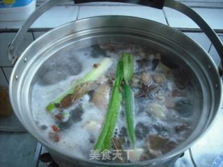 Sauce Beef Tendon recipe