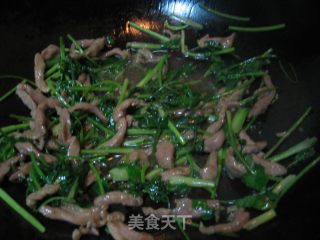 Remember The Taste of Zhongguangyuan-stir-fried Shredded Pork with Coriander recipe