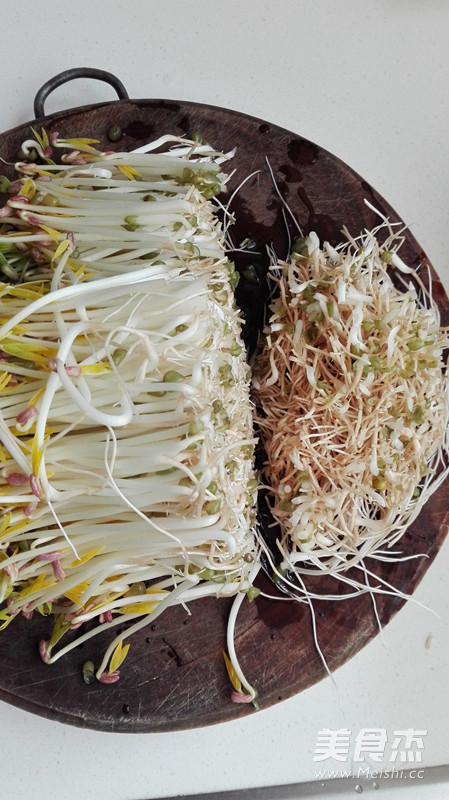 Mung Bean Sprouts recipe
