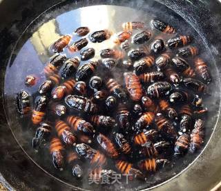 Stir-fried Silkworm Chrysalis with Garlic Chili Sauce recipe