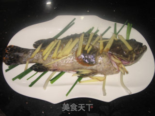 Steamed Sea Fresh recipe