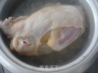 Cantonese White Cut Chicken recipe