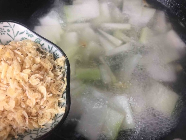 Winter Melon and Shrimp Soup recipe