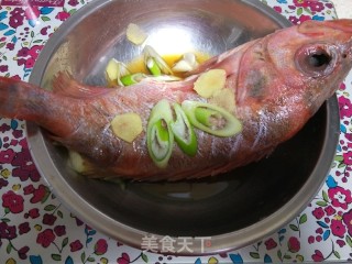Steamed Red Fish recipe