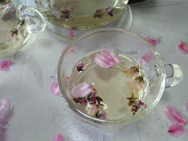 Peach Blossom Tea recipe